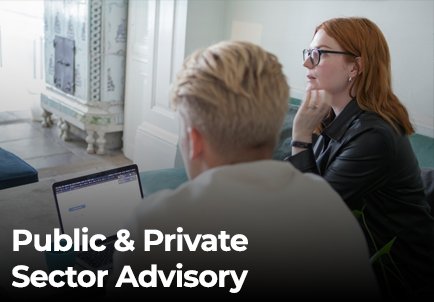 Public Private Sector Advisory